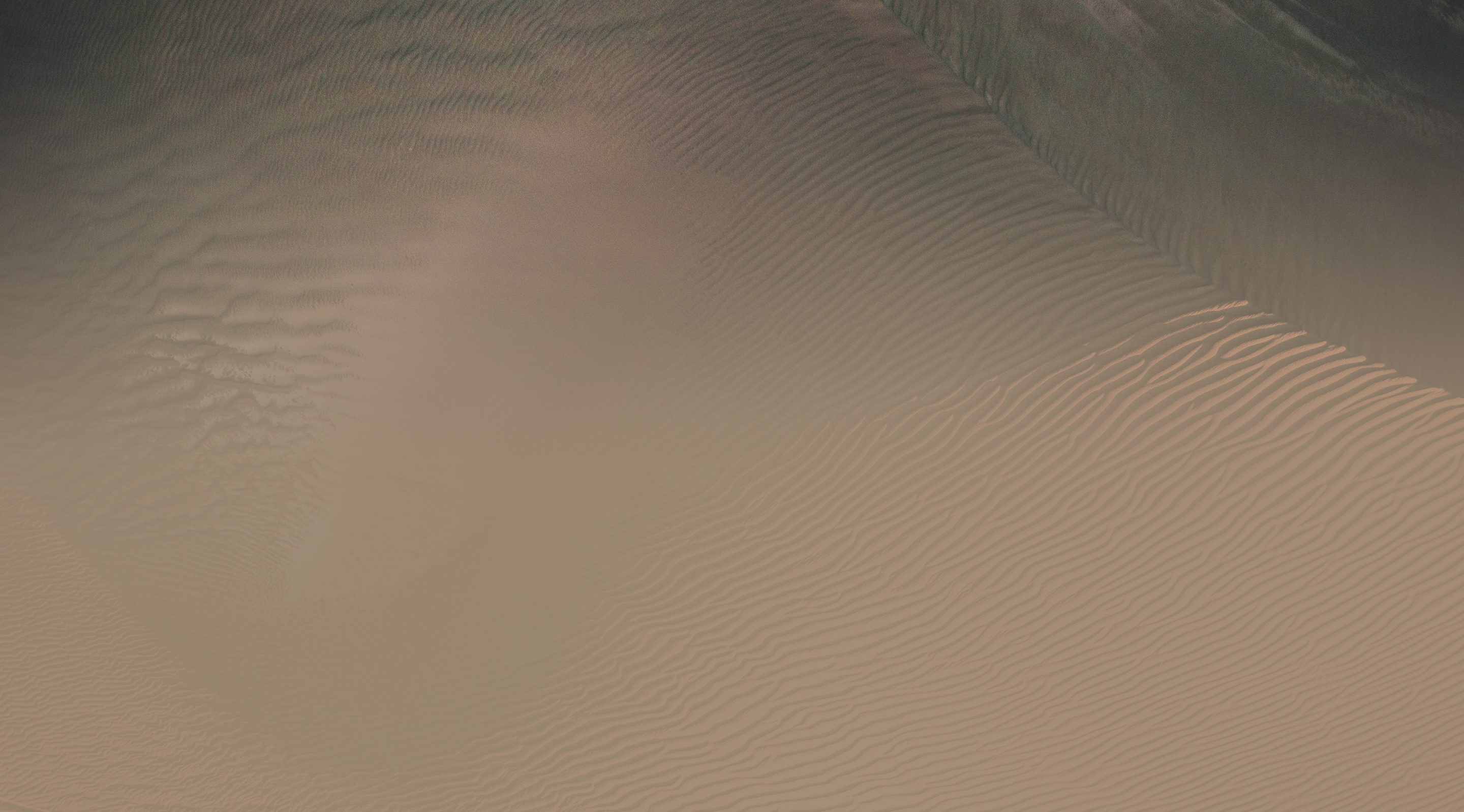 Chery Chief Executive Officer portrait placeholder